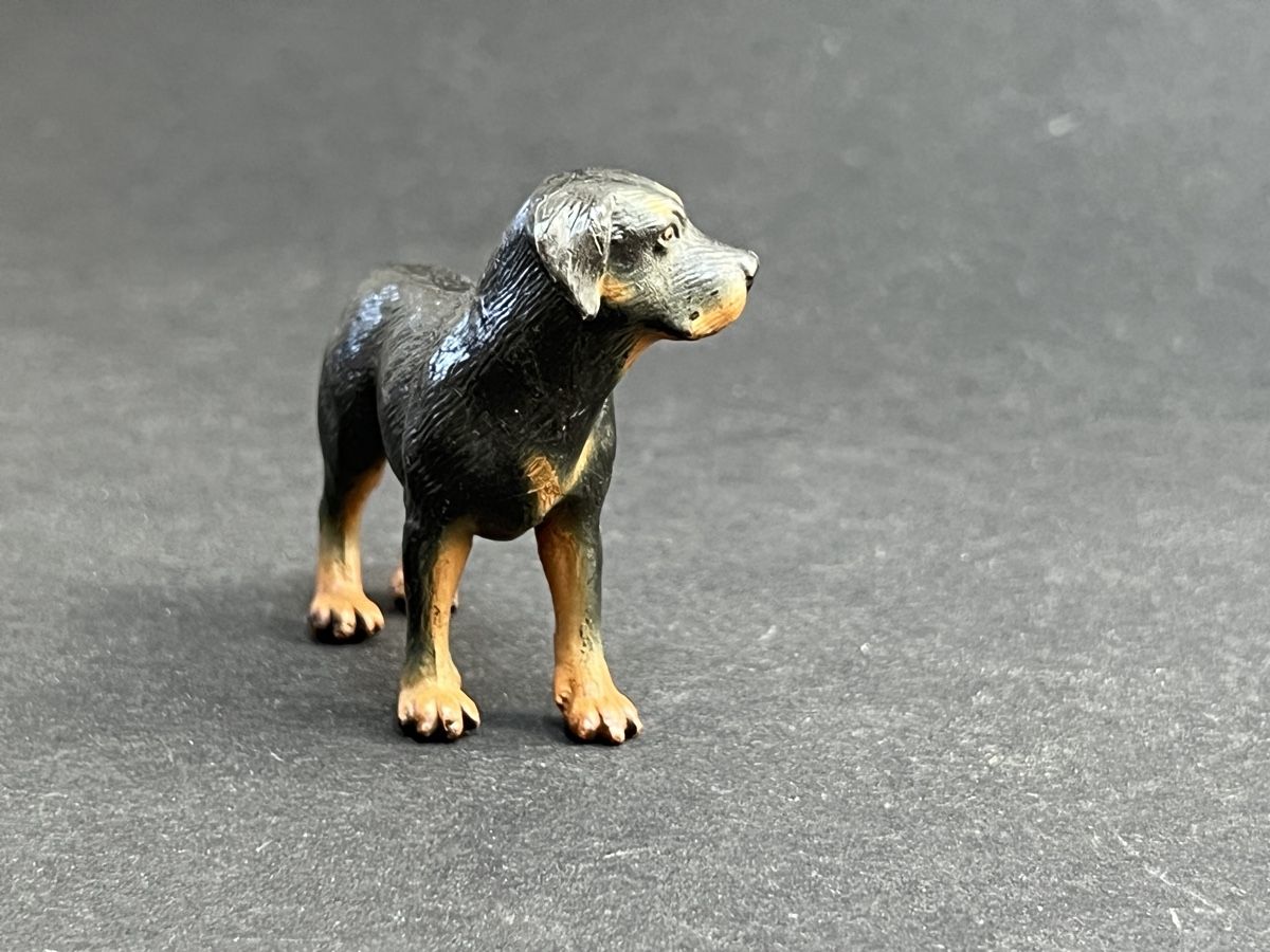 Schleich Statuette: Schleich Rottweiler Hund 16325 – Usato da Ennetbaden venduto da mapa05 4