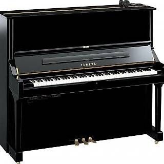 Yamaha Instruments de musique: Yamaha U3 TransAcoustic TA3 – Neuf (Voir description) à Bern par Heutschipiano