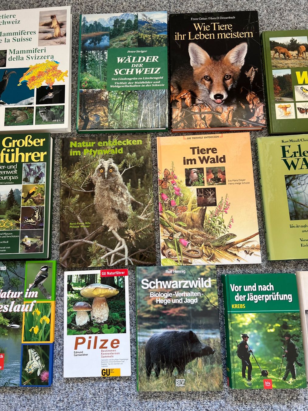 Libri: Bücher / Natur / Tiere / Jagd – Usato da aarwangen venduto da Butzi99 2