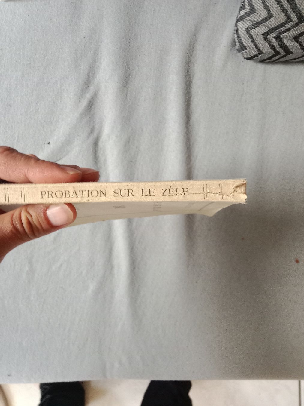 Libri: Sur le zèle – Usato da Fully venduto da der_hg9r 3