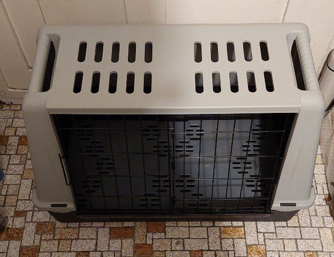 Cucce & Letti: Tiertransportbox – Usato da Zufikon venduto da brocki5621 1