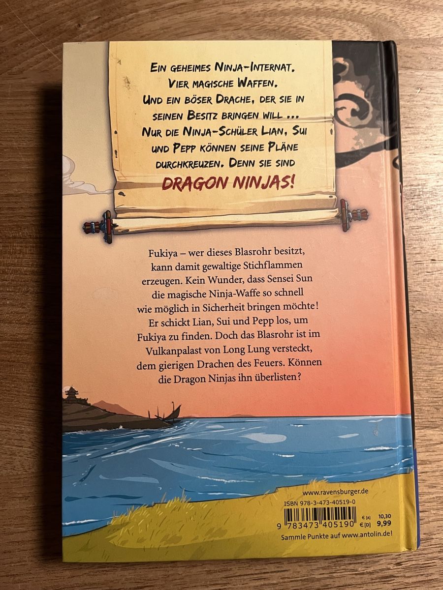 Bücher: Buch Dragon Ninjas Der Drache des Feuers – Gebraucht aus Berikon von Cyberbob2000 1