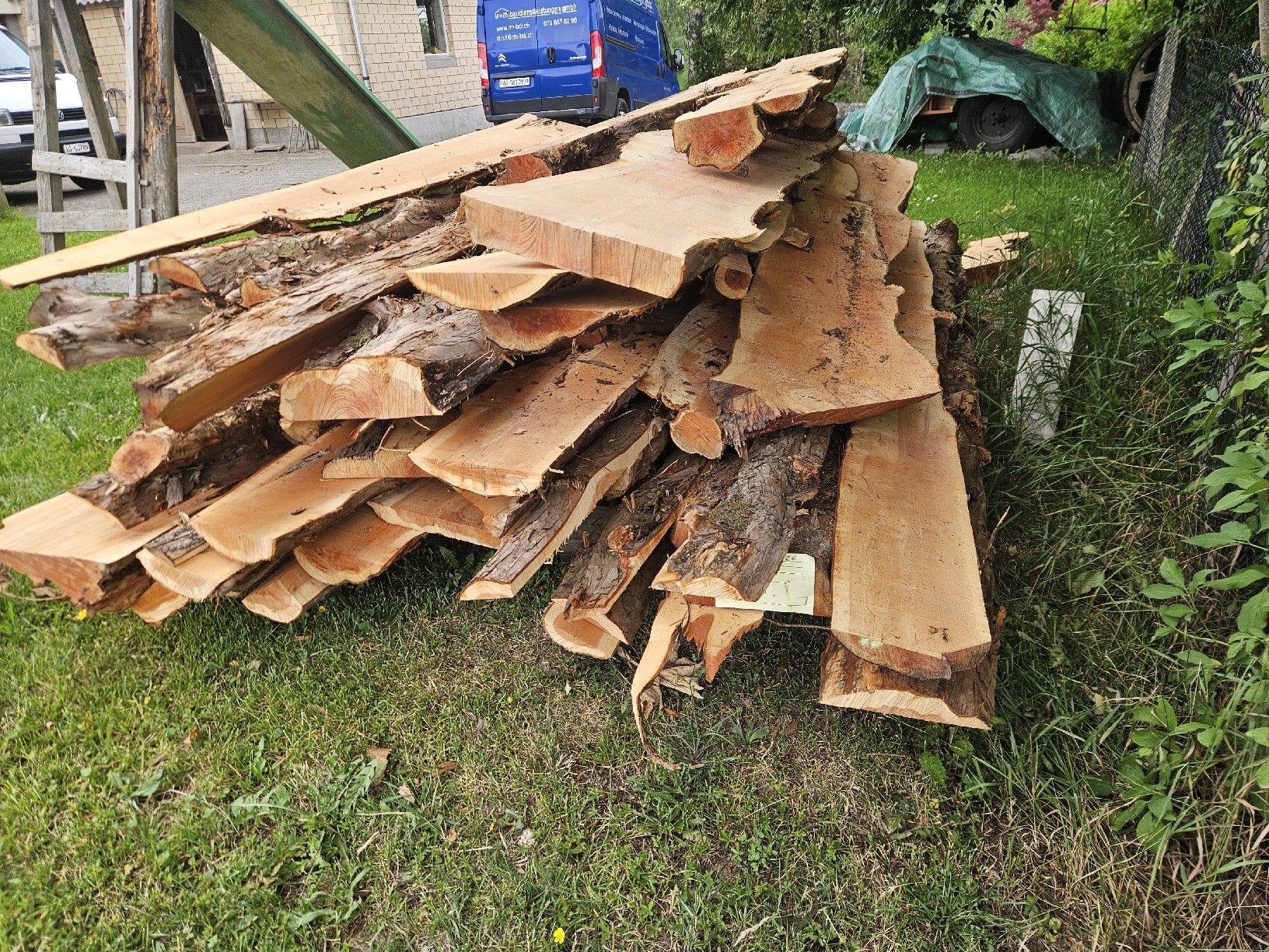 Articoli in legno: Eibenabschnitte  – Nuovo (secondo la descrizione) da Gontenschwil venduto da Studi1958 2