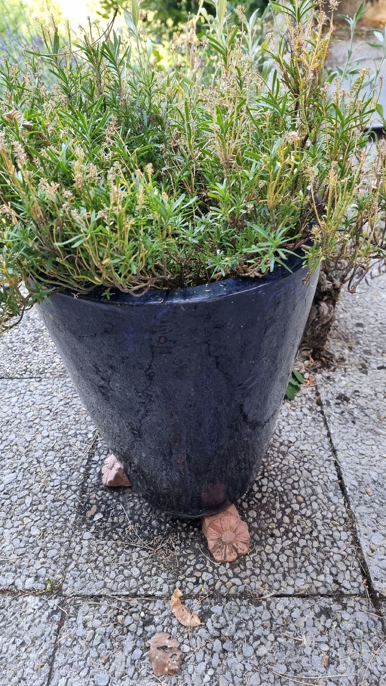 Vasi per fiori: Keramiktopf dunkelblau – Usato da Twann venduto da MW51 2