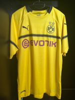 Borussia Dortmund Trikot / Marius Wolf / Signed