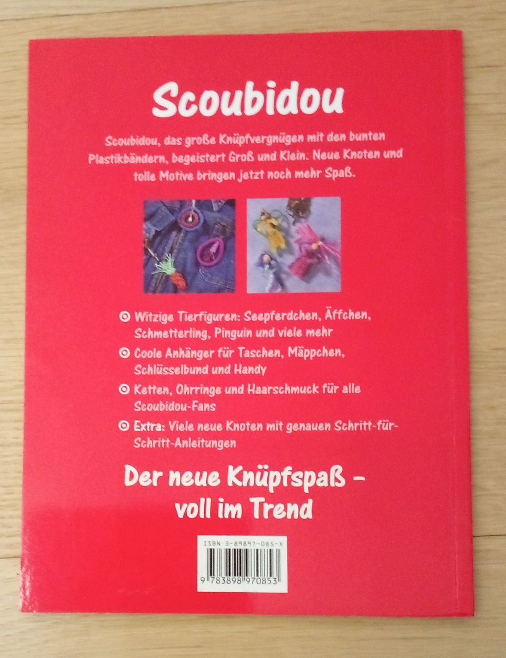 Libri: Scoubidou Buch - Tolle Knüpfideen – Usato da Schwarzenburg venduto da Miri13 1