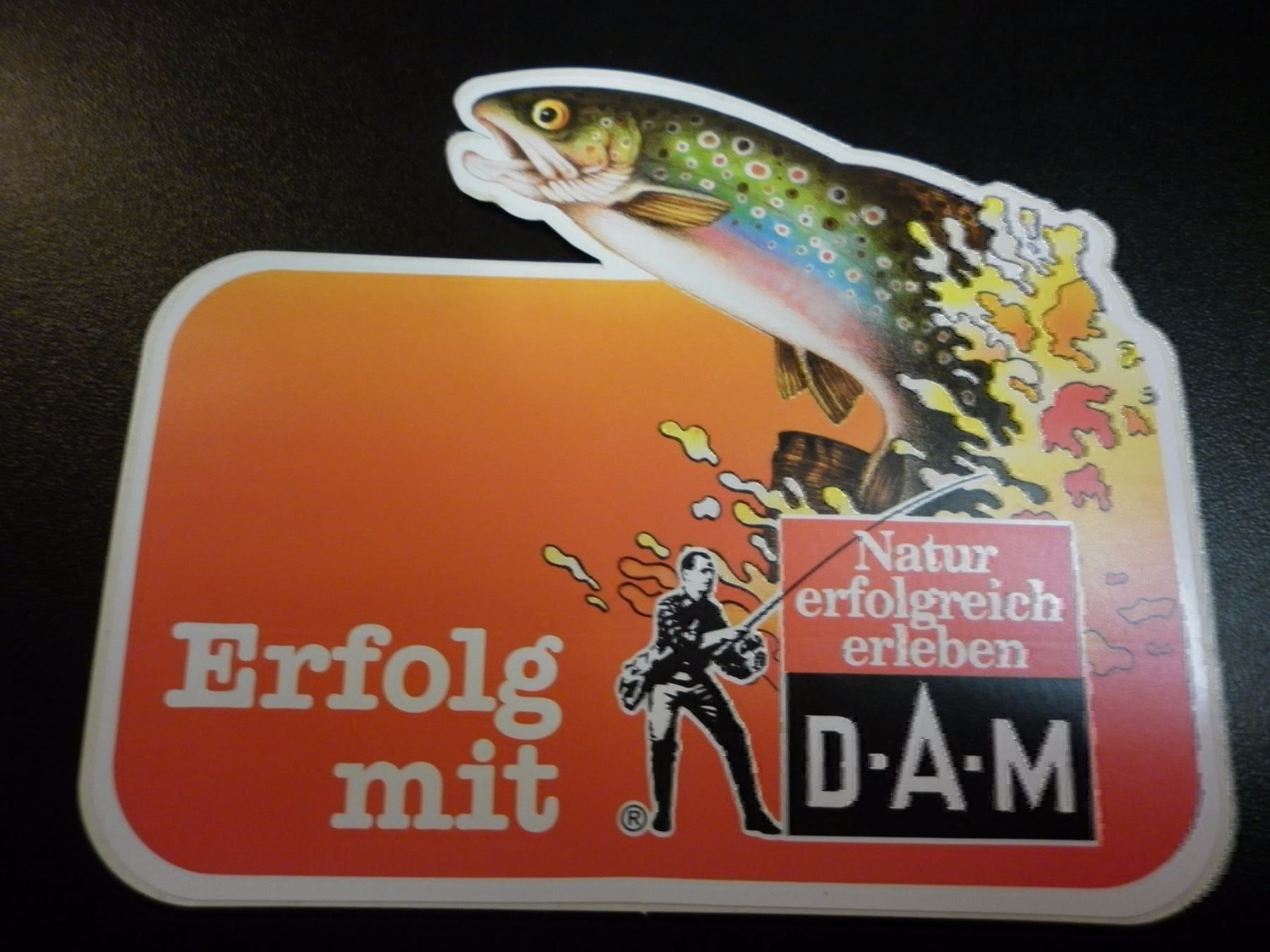 Sticker: 3 Autocollants DAM Autokleber – Nuovo (secondo la descrizione) da Fribourg venduto da versus702 1