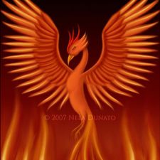 Profile image of Phoenix_1142