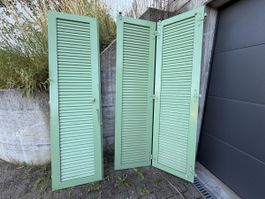 Fensterläden/Türläden Aluminium in Grün