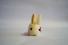 Hase