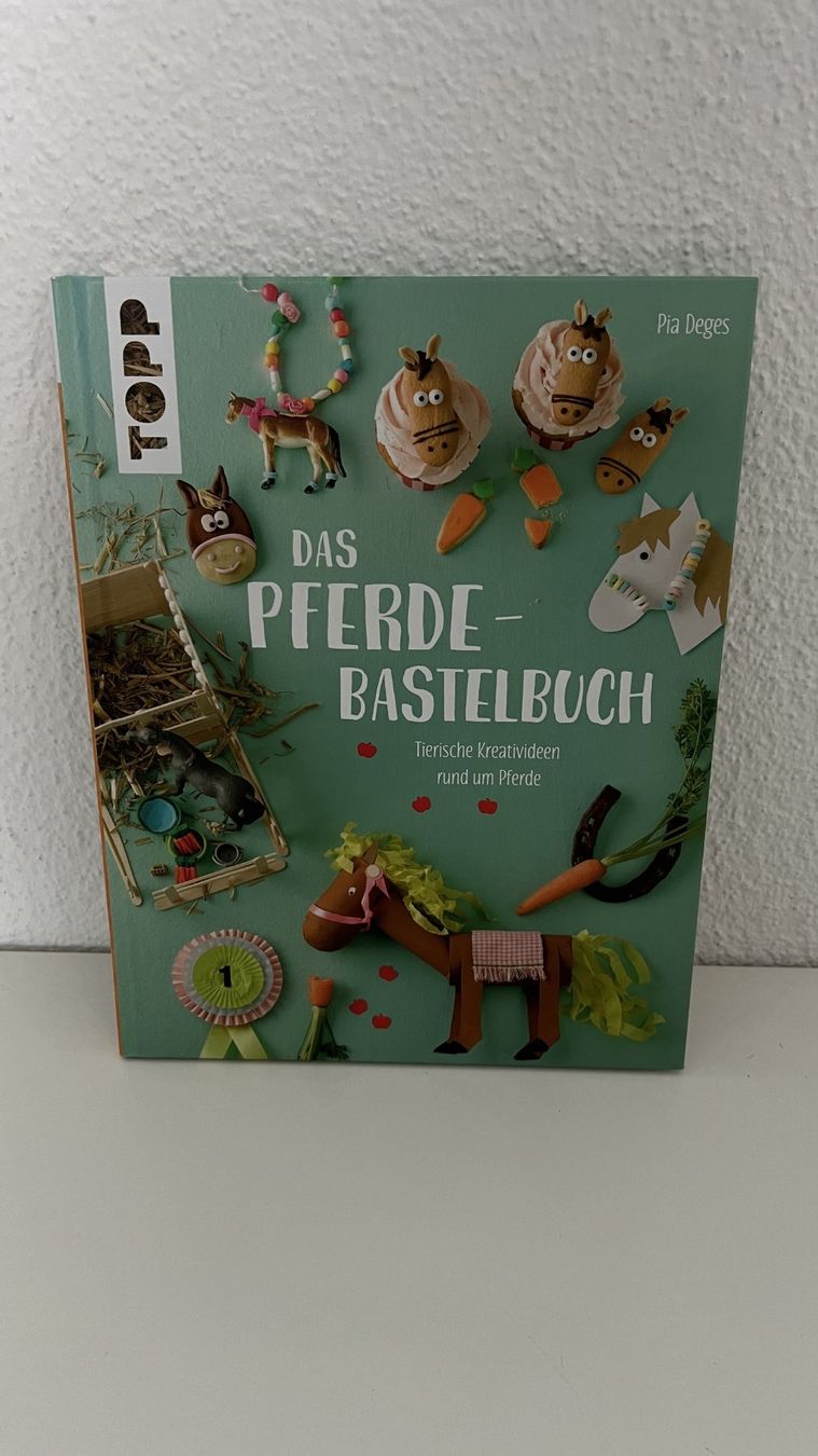 Livres: Bastelbuch – D'occasion à Hondrich par Greppen37
