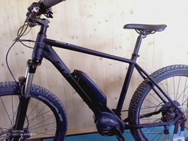 Serious Bear 🐻 Peak 25 km/h Fatbike 2.8 Reifen