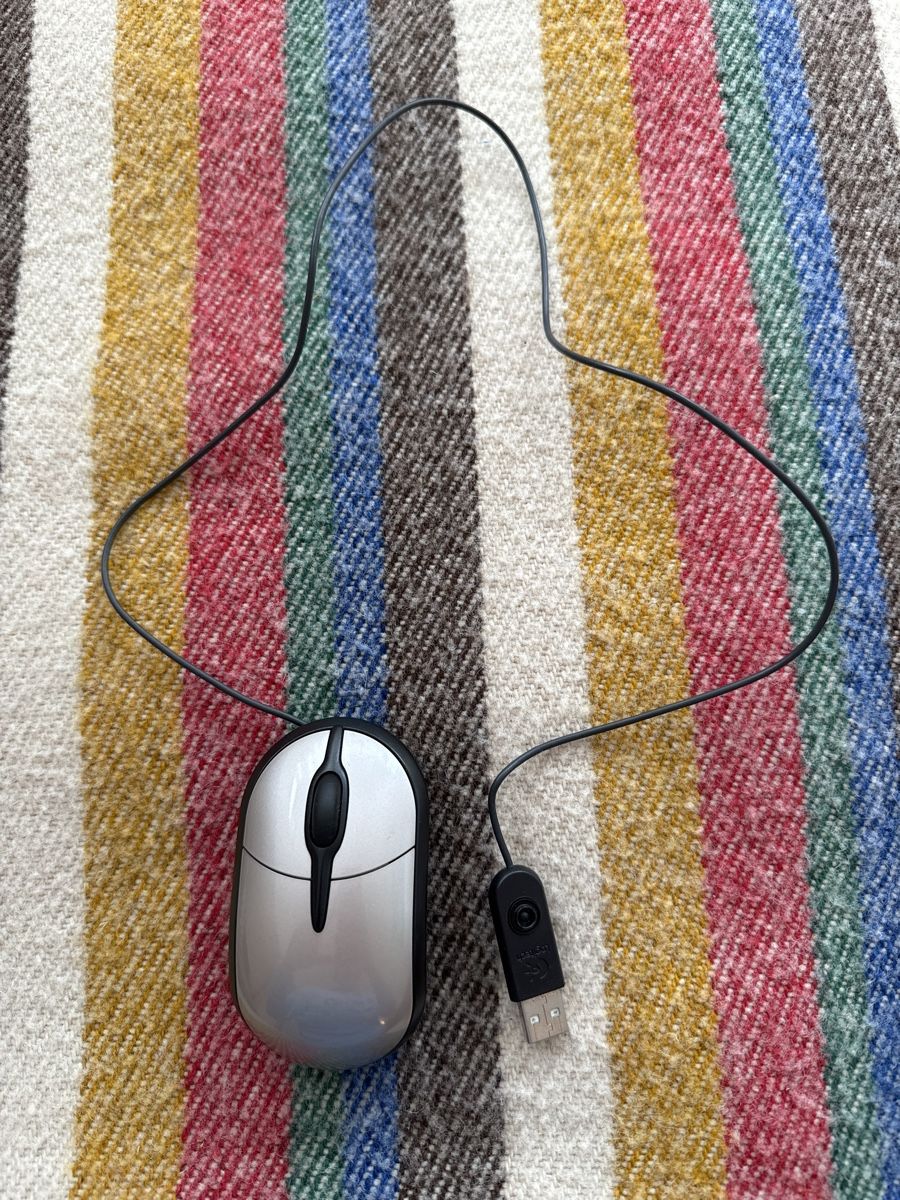 Logitech Souris: Logitech Mouse M100, Wired, USB, Silver – D'occasion à Zürich par pat_rx9j
