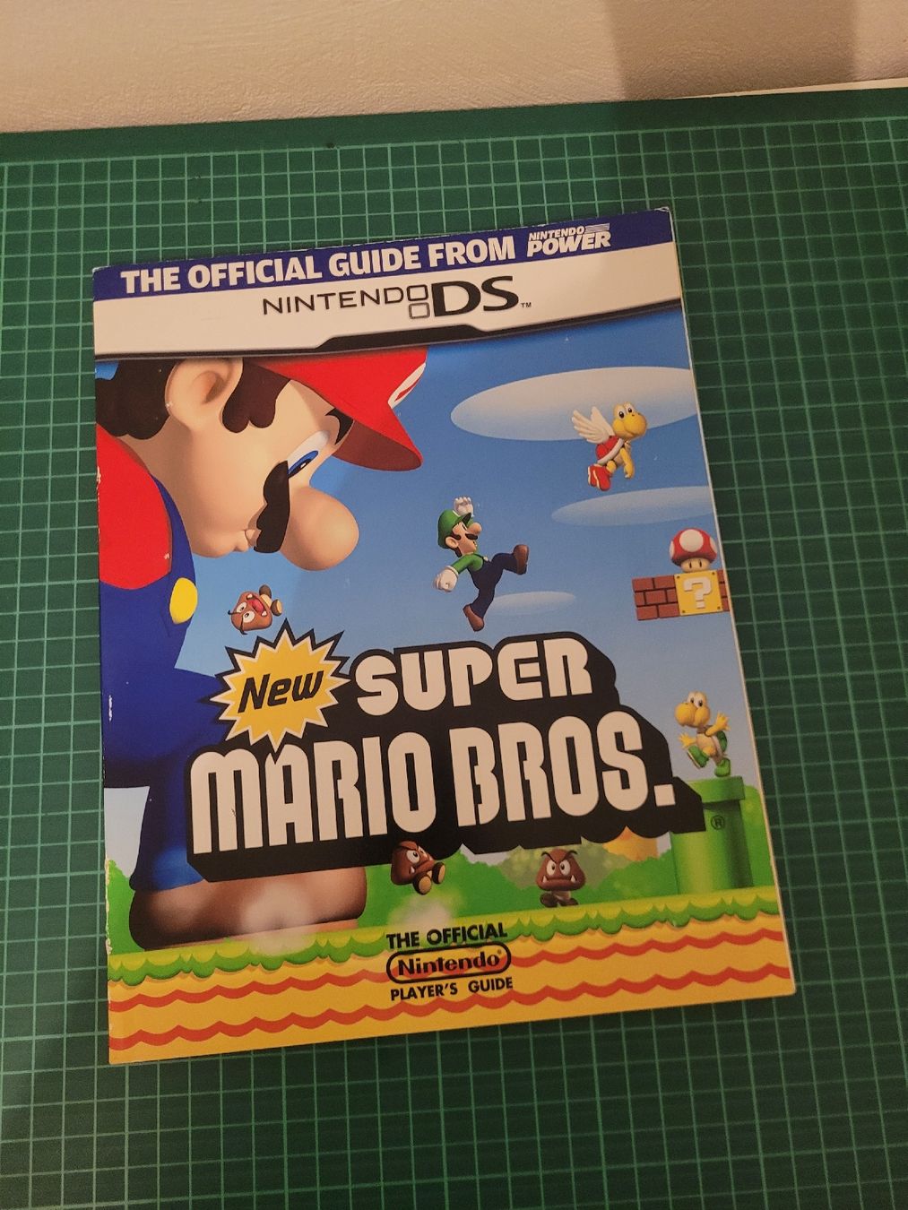 Nintendo Spiele: New Super Mario Bros. DS: Official Guide Book - Nintendo – Gebraucht aus Meyrin von Retro-GZ