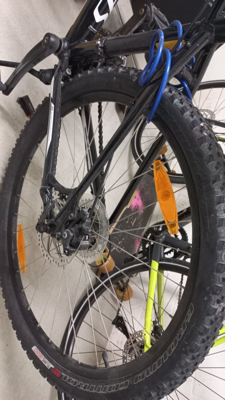 Specialized Velos: Mountainbike Specialized – Gebraucht aus Winterthur von  2