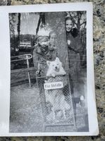 Vintage Foto Süsser Hund im Abfallkorb