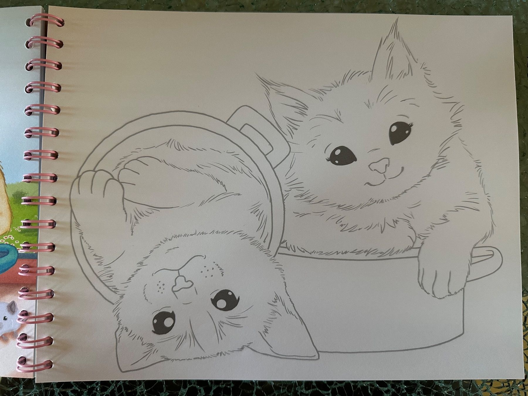 Bücher: Creative Studio Animal Love Zeichnungsheft – Gebraucht aus Riedt b. Erlen von sina.aline 5