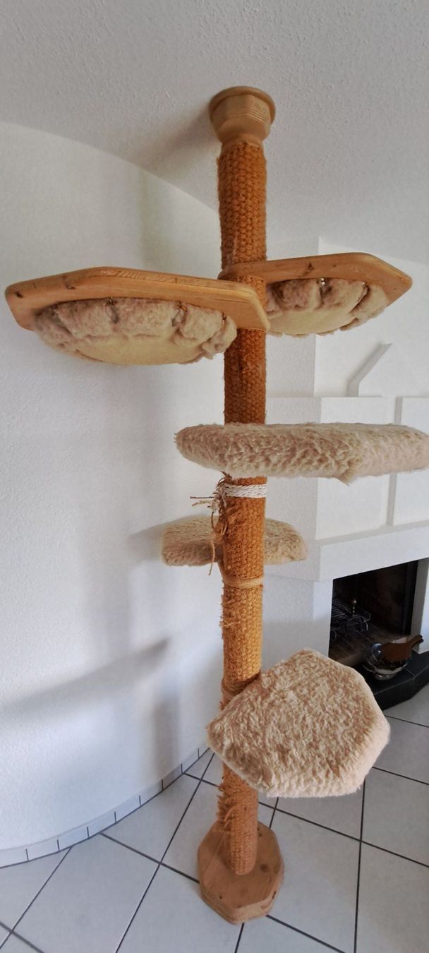 Tiragraffi: Katzenbaum deckenhoch beige Holz gebraucht – Usato da Wetzikon ZH venduto da dub_5qhp 1
