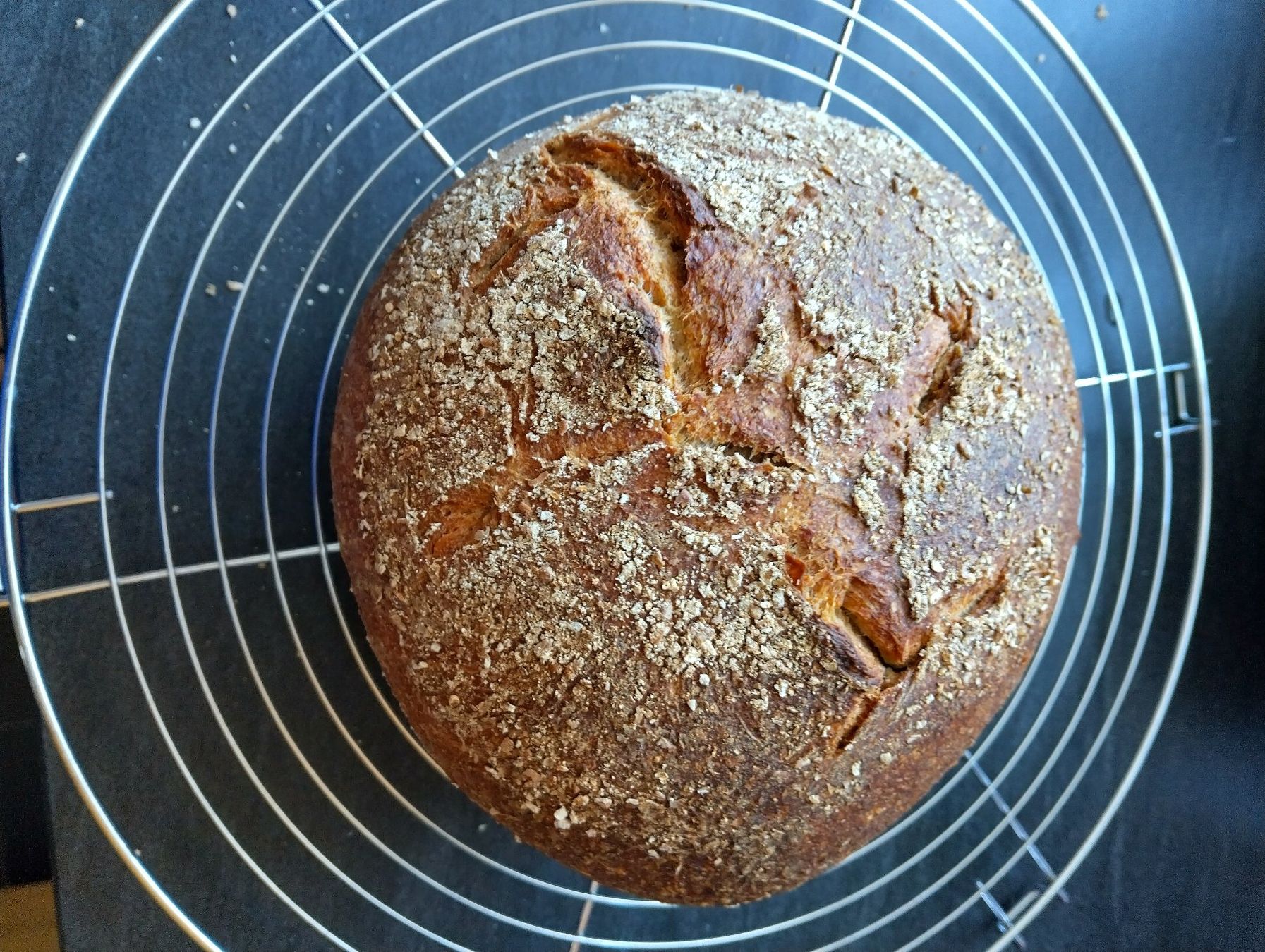 Lebensmittel & Spezialitäten: Sauerteig – Gebraucht aus Rorschacherberg von Voegeli92 3
