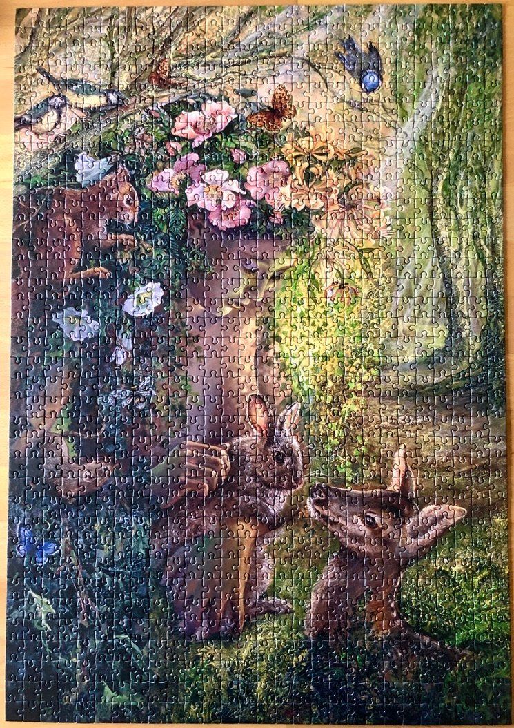 Puzzles: Puzzle 100 Teile – Gebraucht aus Zürich von Dirza 1