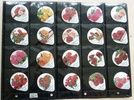 Serie        8132   B                    Rosen