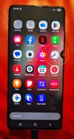 Samsung Galaxy S21 ultra 5G, 256/12GB DUAL-SIM Pixelfehler