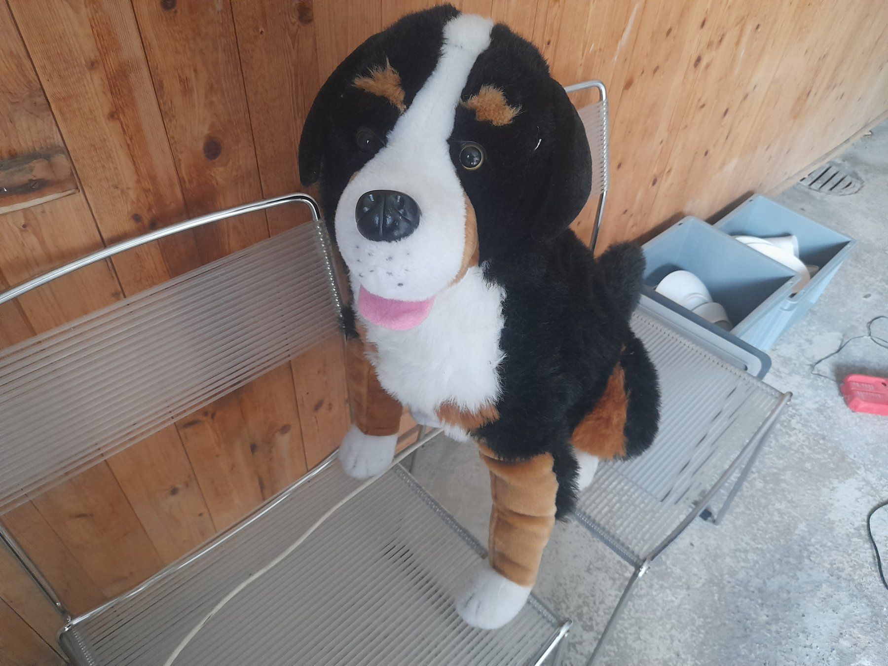 Giocattoli: Grosser Berner Sennenhund Plüsch – Usato da Lustmühle venduto da chevi03 1