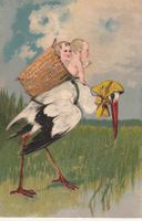 Storch mit Baby Prägekarte