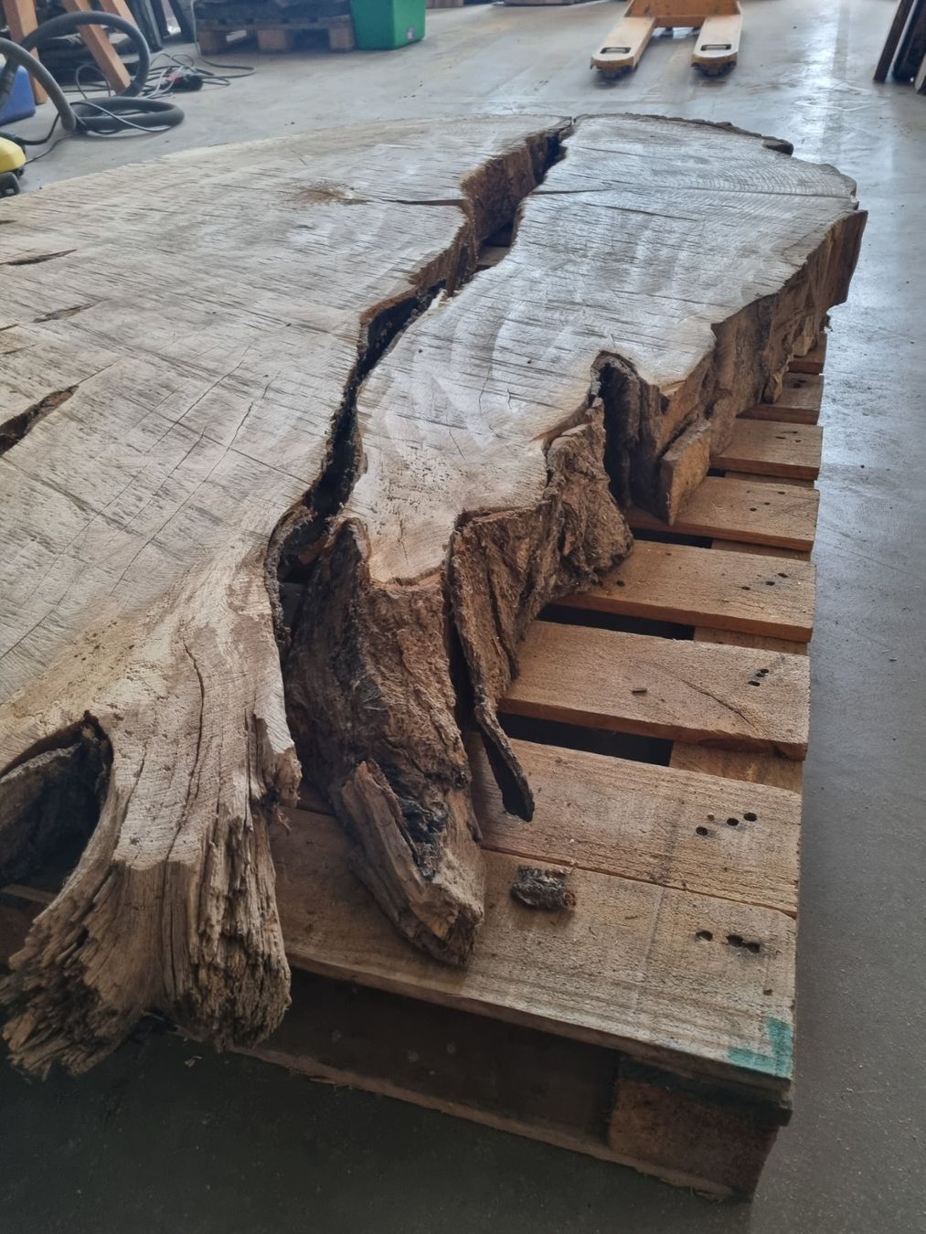 Articoli in legno: Baumscheibe Eiche Tischplatte Eichenplatte XXL  210 cm – Usato da Rheineck venduto da Dein_Wunschholz 4