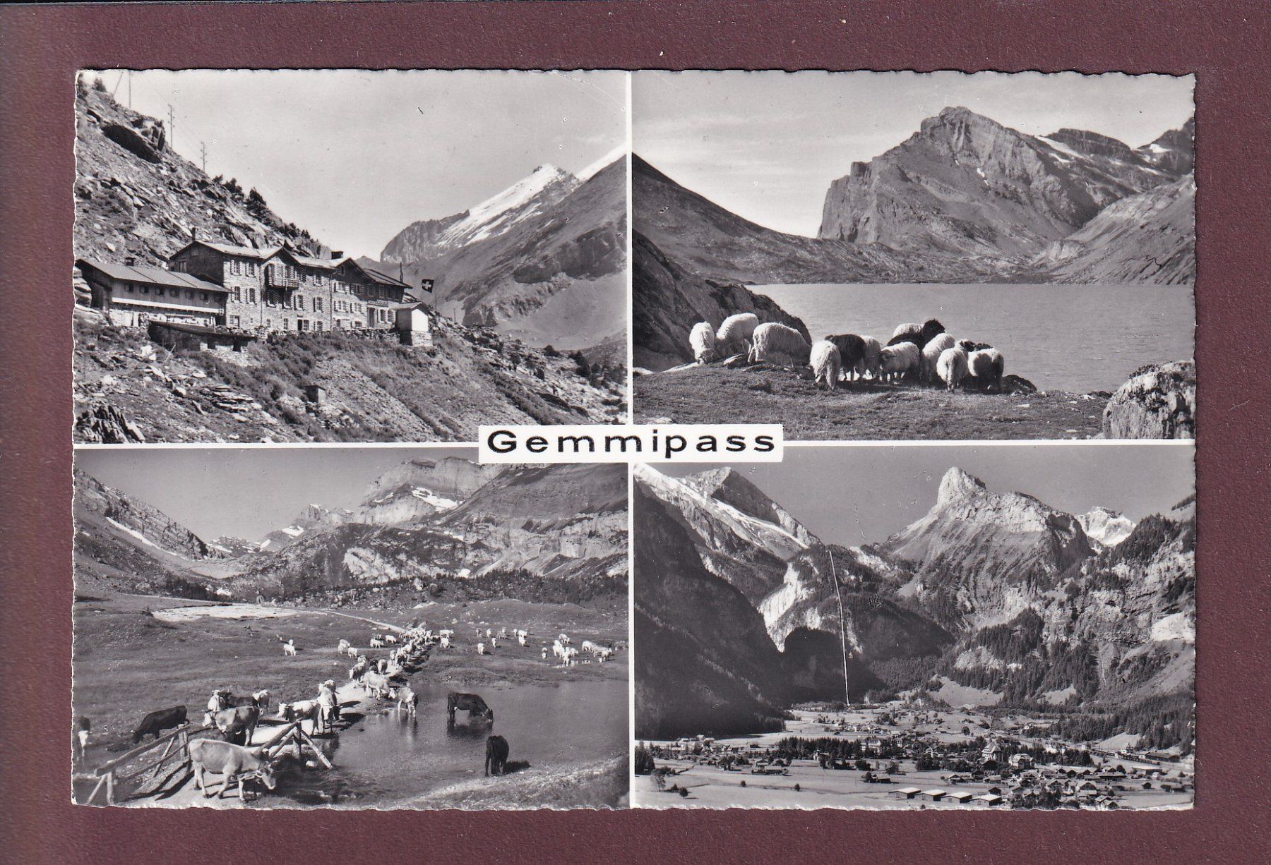 Cartes postales: GEMMIPASS - 4 Bilder – D'occasion à Pully par nicecards