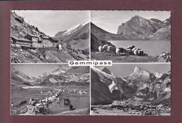 GEMMIPASS - 4 Bilder