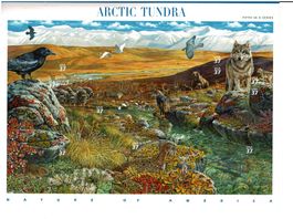 USA Arctic Tundra  1 KB **