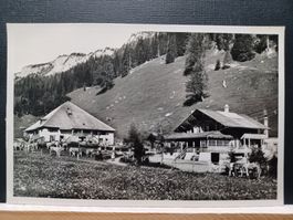 BE, No. 252, Lenk i.S., Iffigenalp 1600m, 1947, Kühe