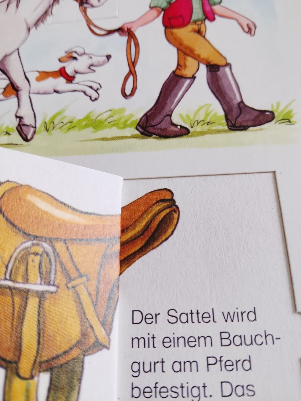 Libri: Pferde und Ponys  – Usato da Volken venduto da katz5 2