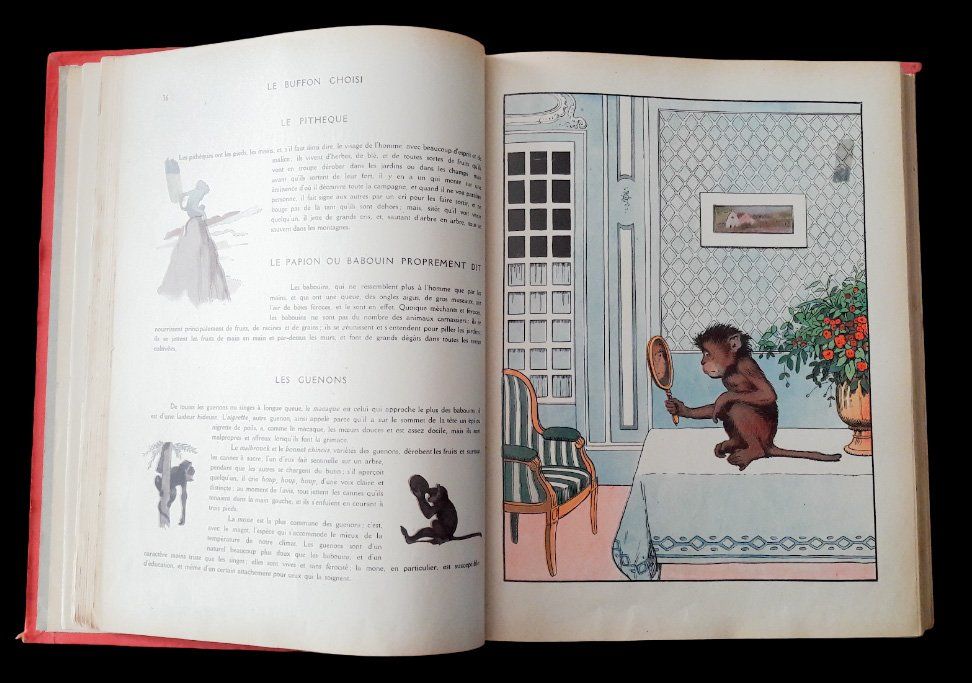 Libri: Le Buffon choisi Benjamin Rabier Garnier v. 1920 Animaux – Usato da Tavannes venduto da Nekosumi 1