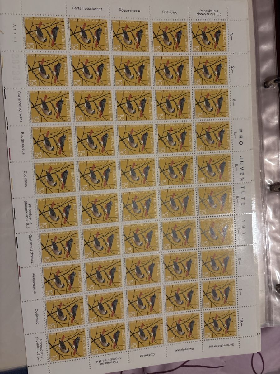 Tiro con l'arco: Briefmarkenbogen Pro Juventute 1971 Gartenrotschwanz – Usato da Geroldswil venduto da Fiury