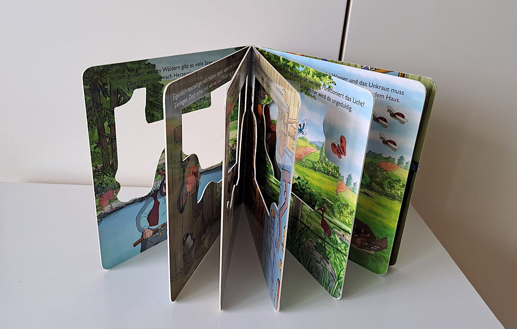 Libri: Pettersson und Findus - Fensterbuch - Karton – Usato da Affoltern am Albis venduto da saminou01 6