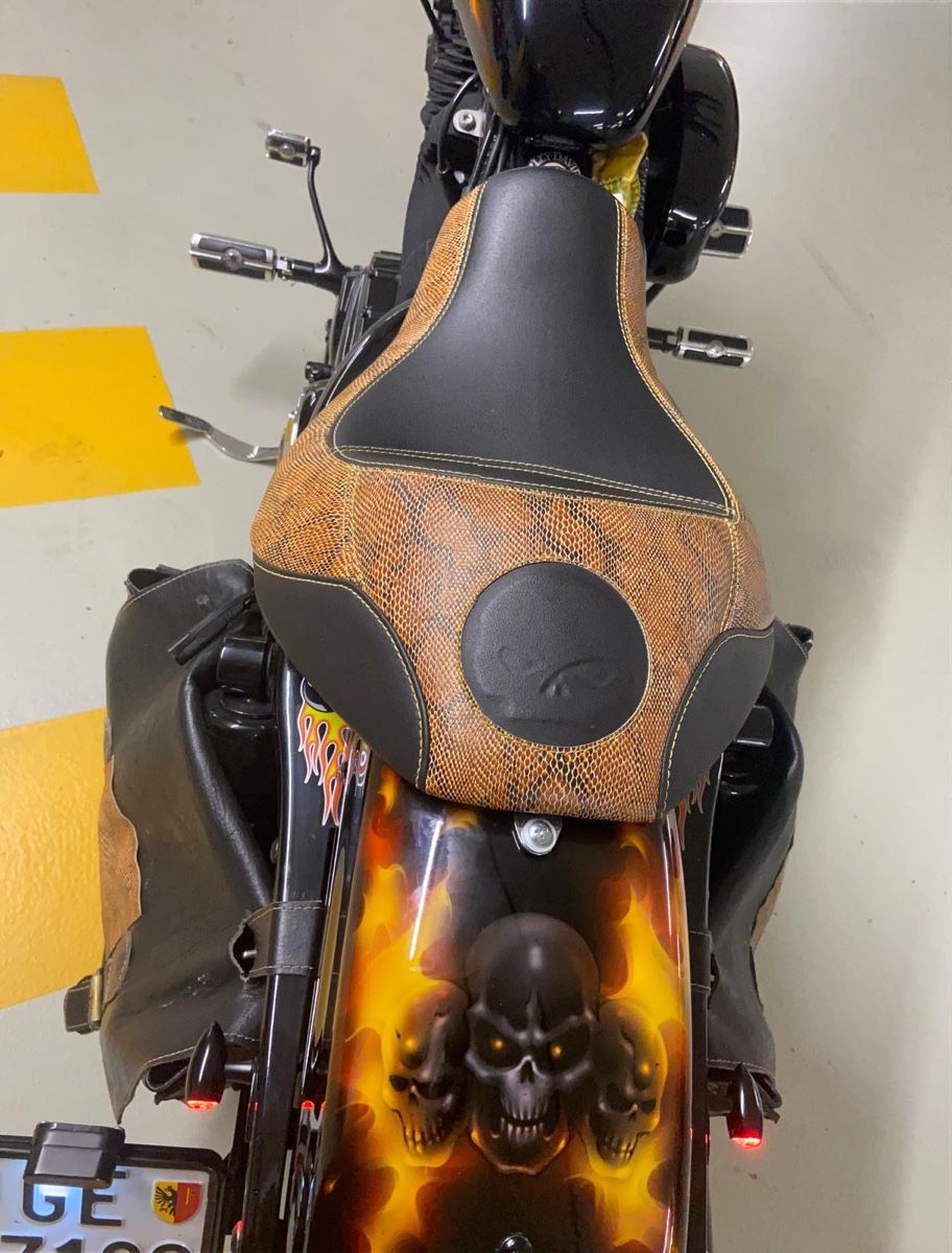 Harley-Davidson Chopper: Harley Davidson XL 1200N – Usato da Genève venduto da lil_sf2z 3