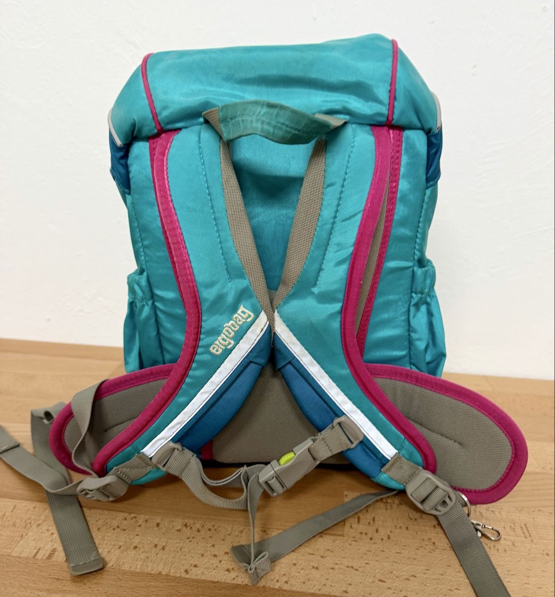 Ergobag Borse & Zaini: Ergobag Mini Rucksack für Kindergarten – Usato da Riehen venduto da kat_cx85 1