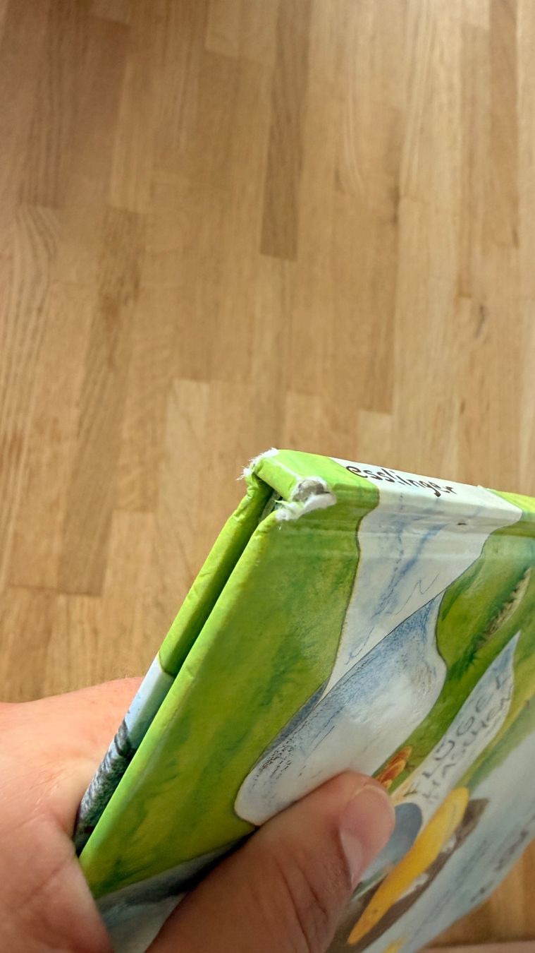 Libri: Buch - Rabe Socke - Alles erlaubt? Oder immer brav sein scha – Usato da Winterthur venduto da Secondhand-Family 1