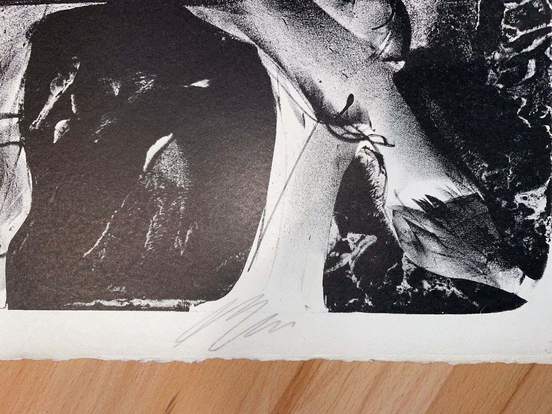 Arts picturaux & lithographies: Hans Erni Lithographie – D'occasion à Cham par Chramschopf 2