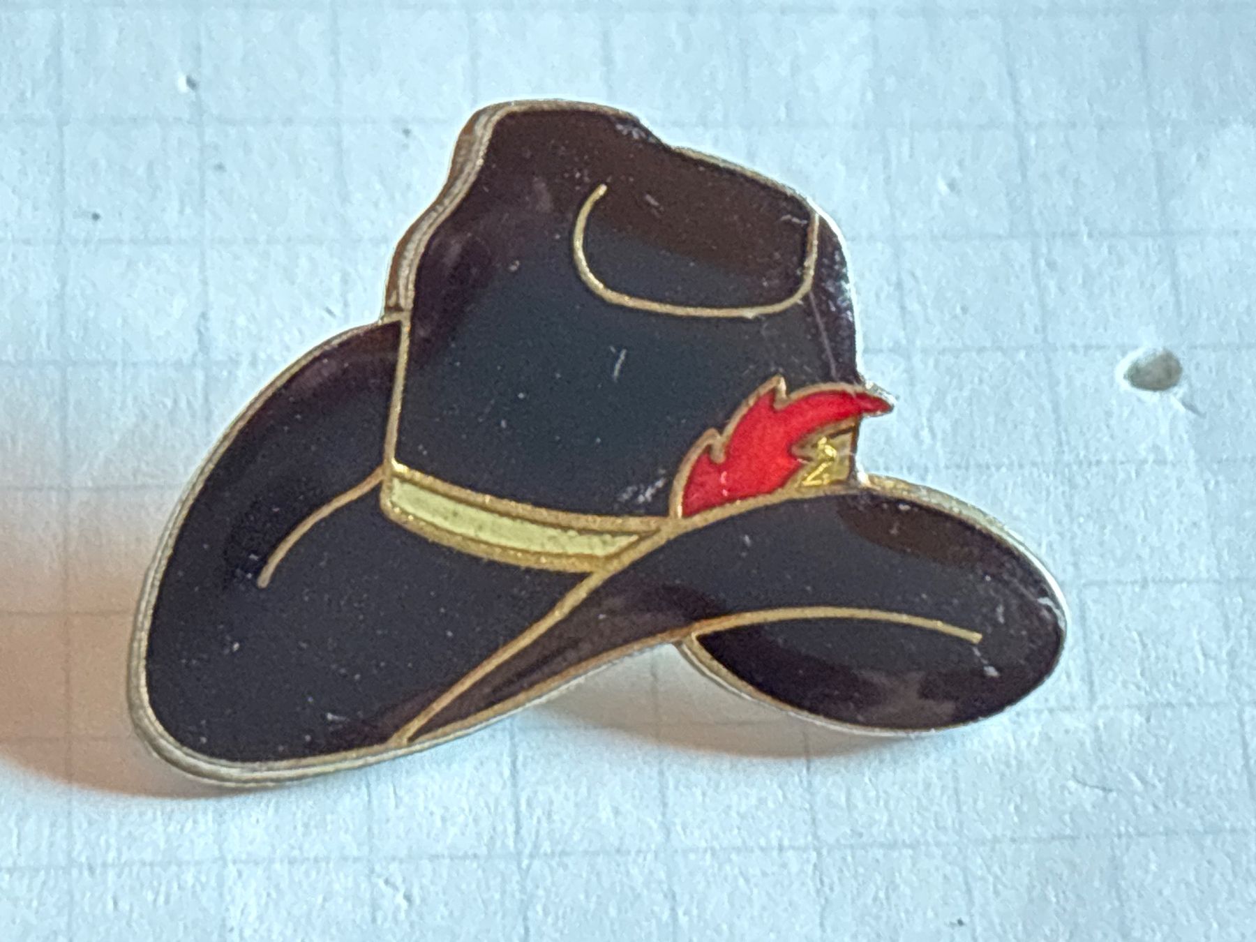 Plaketten & Abzeichen: Pin Hut – Gebraucht aus Lützelflüh-Goldbach von NicoleL.