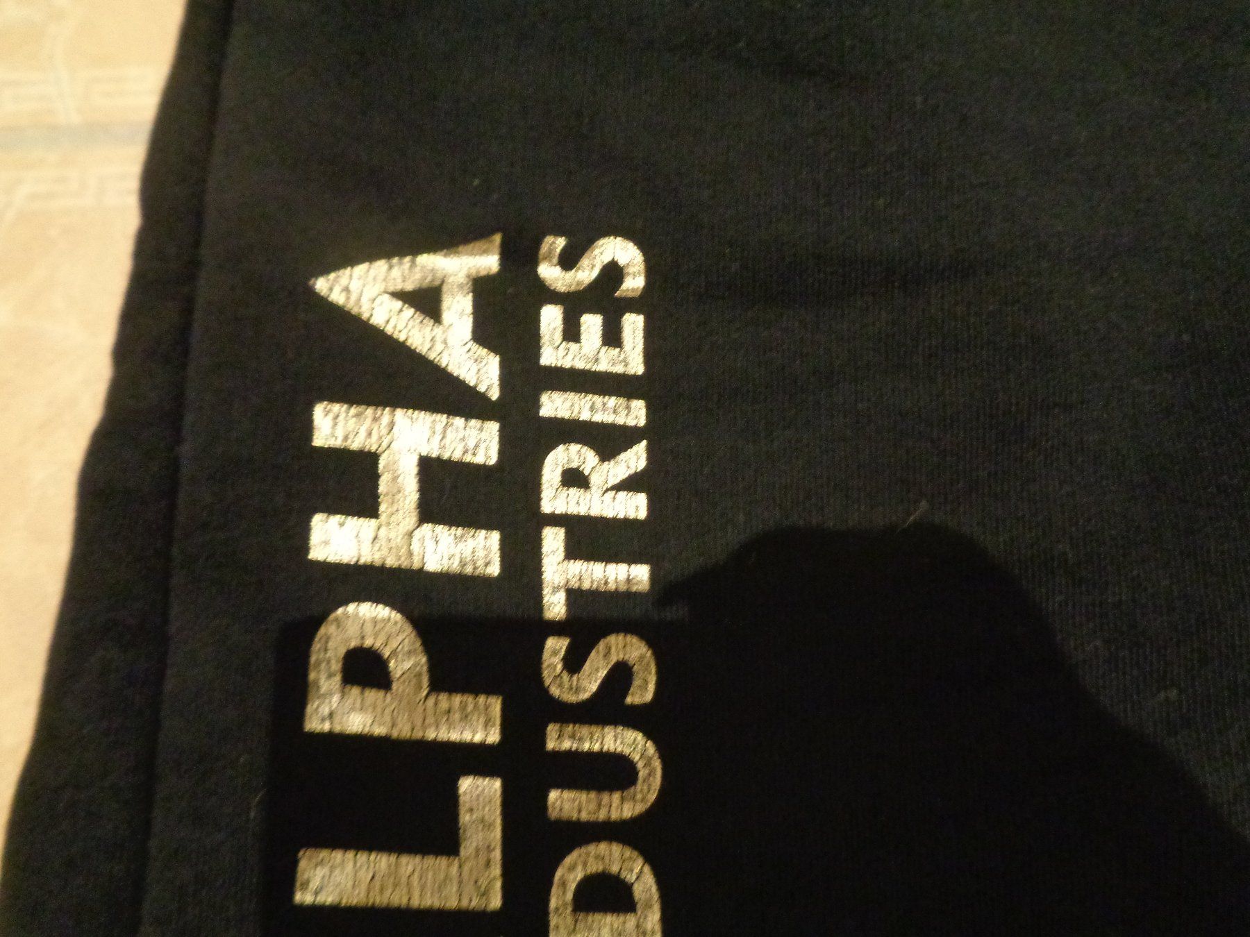 Pantaloni: Alpha Industries NWT SHorts, S – Usato da Klingnau venduto da Markus14 2