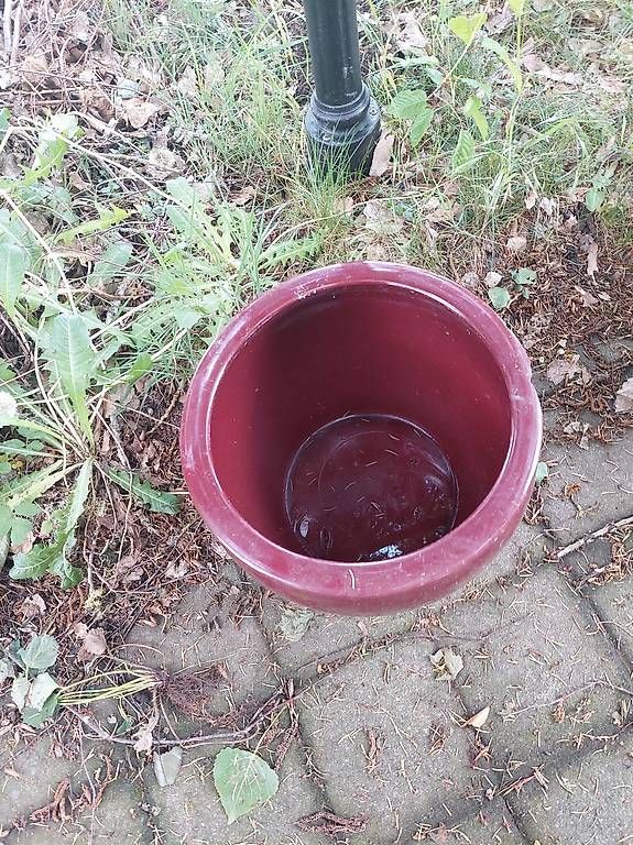 Blumentöpfe: Blumentöpfe Terracotta, Ton – Gebraucht aus Kirchlindach von dor_qj8q 2