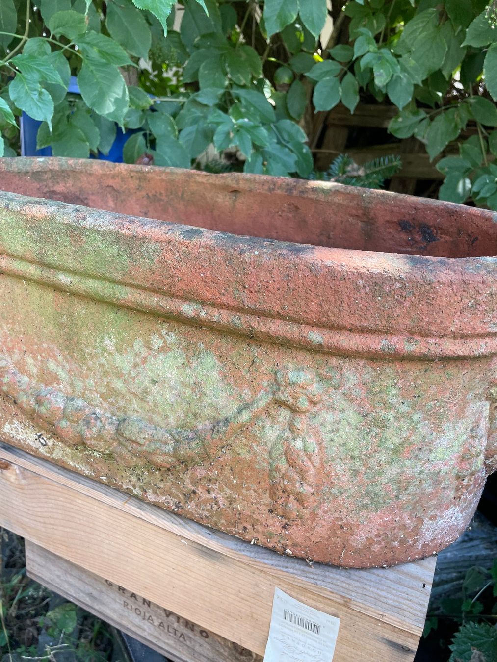 Blumentöpfe: Terra-Cotta – Gebraucht aus Forch von ESELSTEIN 4