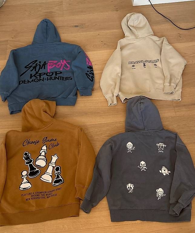 Pulls et sweat-shirts: 4 Zara Kapuzenpullover  Grösse 130140 – D'occasion à Männedorf par Brunei03 1