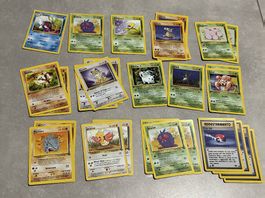 POKÉMON - JUNGLE ITA