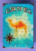 CAMEL  ART 8