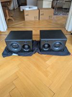 ATC 25A Pro Studio Monitore