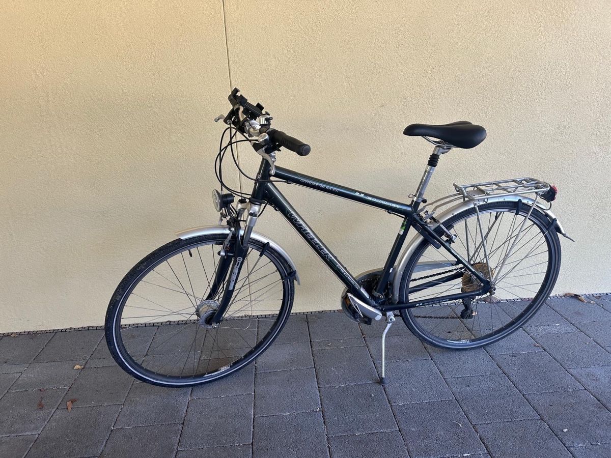 Wheeler Biciclette: Wheeler 2.3 Ecorider – Usato da St. Antoni venduto da SonnyCrocket92